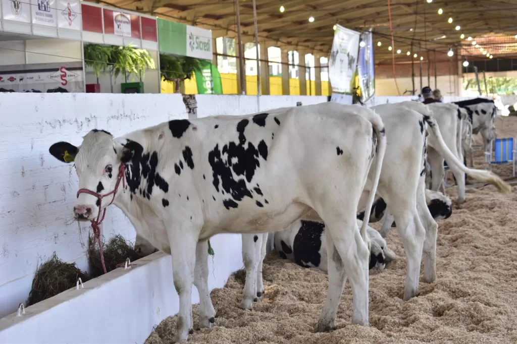 Efapi do Brasil tem somente alguns espaços no setor agropecuário 1 image